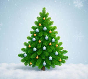 Новий рік (Різдво)