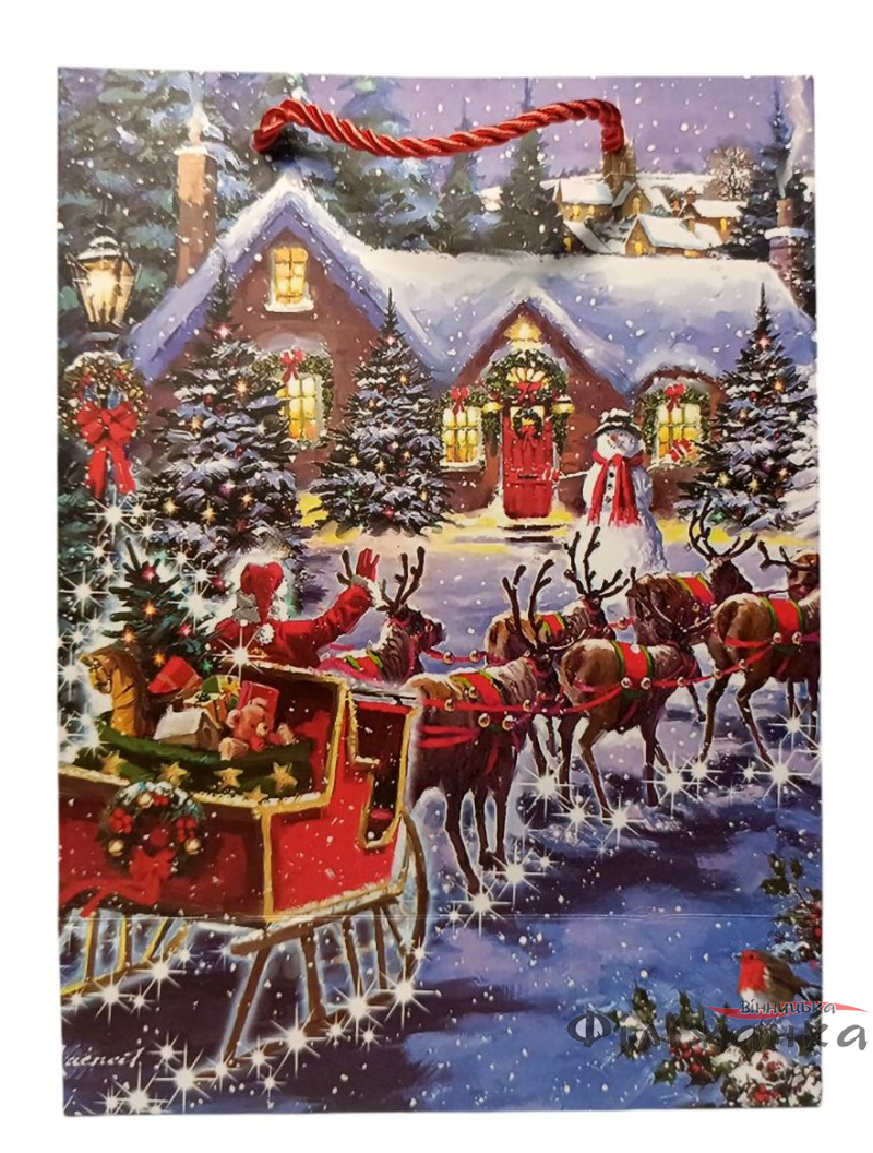 Пакет подарунковий Зимова Казка 26*32*10 см в асортименті (59730)